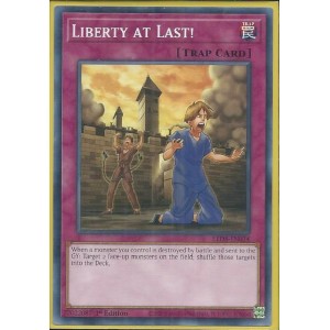 LED8-EN034 Liberty at Last – Common